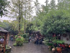 -青城甲(青城山店)