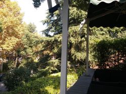 -丁香花园申粤轩·宴会厅