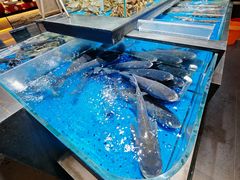 -炊江南·上海菜(国展华漕店)