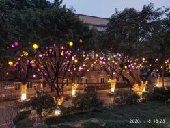 -重庆医科大学附属儿童医院(渝中院区)