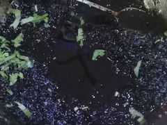 -正味斋锅巴菜(西北角店)