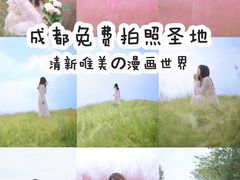 -白鹭湾湿地公园