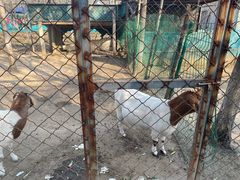 -草根堂农场
