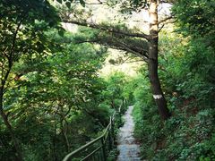 -燕窝岭