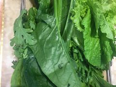 -清真·马家火锅美食城(镇江北路店)