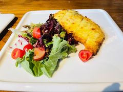 -百好乐宠物友好餐厅(朝外大街店)