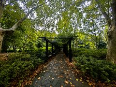 -上海共青森林公园