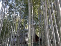 -宝岩生态观光园