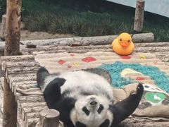 -大连森林动物园