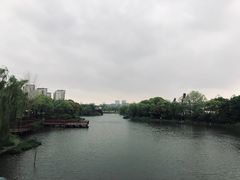 -新江湾城公园