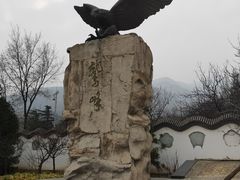 -北京鹫峰国家森林公园