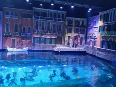 -华夏文旅海洋公园