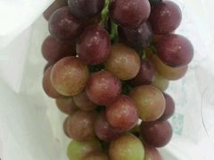 -美家乐农庄·露营·团建(大治路店)