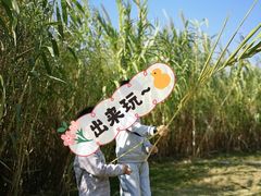 -九龙湖公园