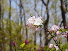 -大伊山景区