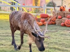 -华谊兄弟（长沙）电影小镇