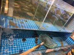 -小孙家厨(长春路店)