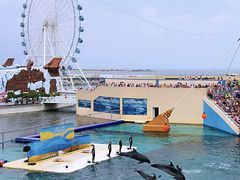 -秦皇岛乐岛海洋王国