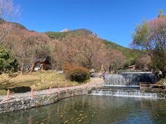 -丽江玉水寨