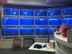 -黄记大闸蟹专卖店·活蟹·醉蟹