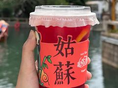 -狐狸家·酸奶酪专门店(平江路店)