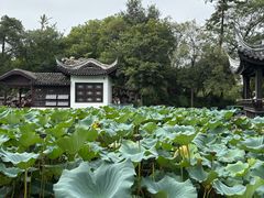 -无锡蠡湖国家湿地公园-蠡园