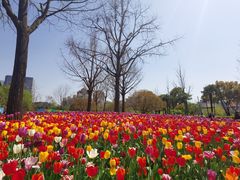 -大宁公园