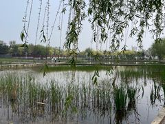 -绿堤公园