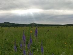 -塞罕坝国家级自然保护区