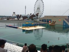 -秦皇岛乐岛海洋王国