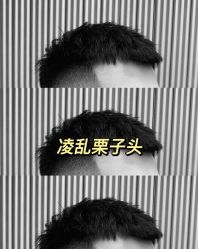 -禾里設計