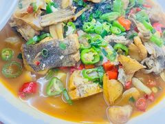 -全乐鱼馆·淳牌有机鱼直营店
