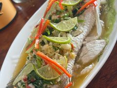 -Dang restaurant (patong phuket)