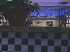 -小牛海记潮汕牛肉店(永定路店)