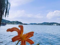 -东钱湖旅游度假区