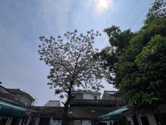 -孝店王酒酿馒头(安昌1店)