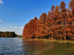 -上海海湾国家森林公园