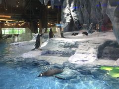 -广东省拱北口岸中国旅行社(华宾营业部)