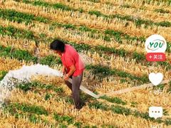 -达美乐比萨(留仙大道店)