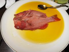 -甄御•海鲜新青岛菜(麦岛店)