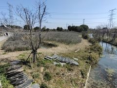 -上海杨姆庄园