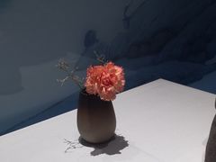 -眉州东坡(望京店)