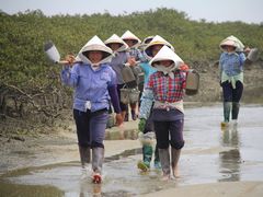 -北海金海湾红树林生态旅游区