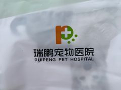 -瑞鹏宠物医院·骨外科·心肾科·肿瘤科(九亭店)