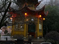 -黄山温泉国际旅游度假区