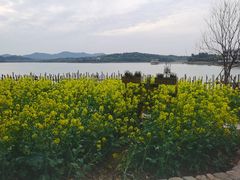-天目湖山水园