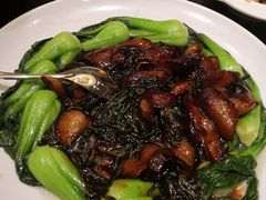 -新南华大酒店(长寿店)
