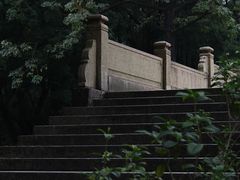 -晓港公园