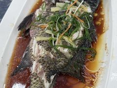 -波记美食店·现捞海鲜