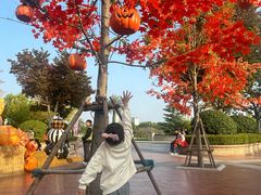 -郑州方特梦幻王国